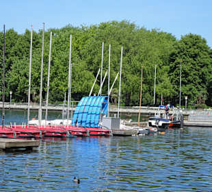 Bootsverleih am Nordufer des Maschsees