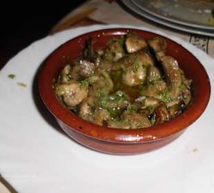 Champions in Knoblauch