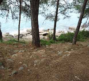 Aussicht von Halbinsel