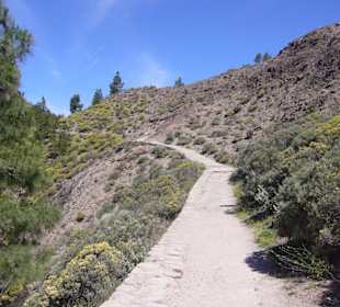 Wanderweg zum Roque Nublo