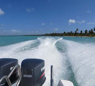 Mit viel Power und Spaß nach Saone