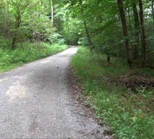Sonnenaufgangs-Rundwanderung Rübgarten