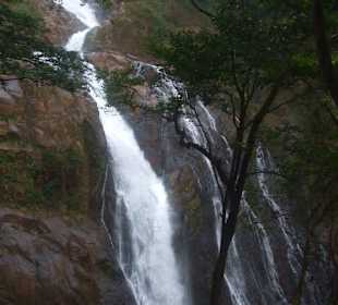 Pura Vida Wasserfälle