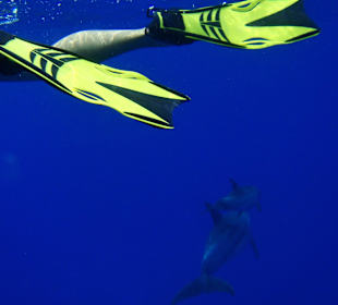 Cleopatra Service/Travel, Hurghada - El Gouna