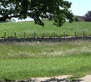 Premiumwanderweg "hochgelegen"