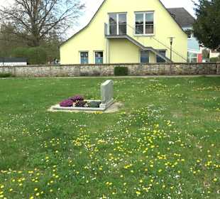 Kirche St. Nikolaus Waldhausen