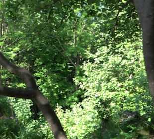 Premiumwanderweg "hochgelegen"