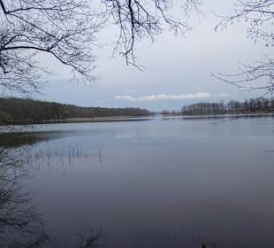 Der Seddiner See in der Nähe des Hotels!