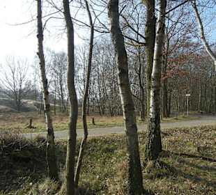 Wunderschöne Boberger Niederung