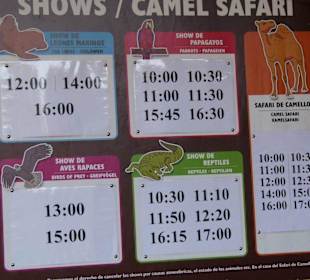 Uhrzeiten der Shows