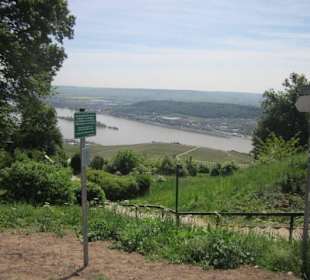 Am Niederwalddenkmal