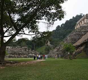 Kompleks Palenque