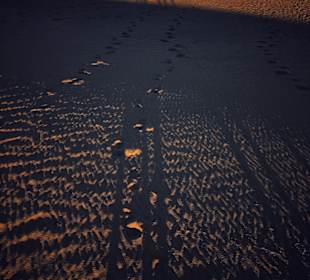 In den Dünen von Maspalomas