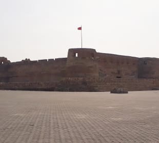 Arad Fort