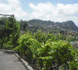 Schon der Weg ist vielversprechend ... 