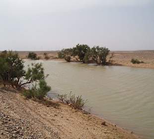 Wasserstelle in der Wüste