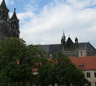 Bei einer Besichtigungstour durch Magdeburg