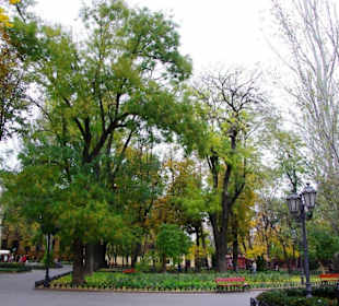 Odessa Stadtpark