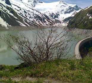 Erholungsfaktor Nr. 3