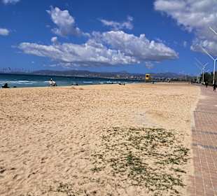 Strand Playa/Platja de Palma in Platja de Palma / 
