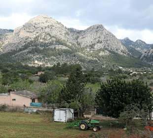 Mit dem historischen Zug von Palma nach Sóller