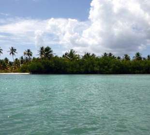 Saona