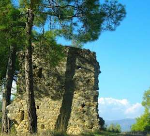 Rafting Selge Landschaft/An- & Abfahrt