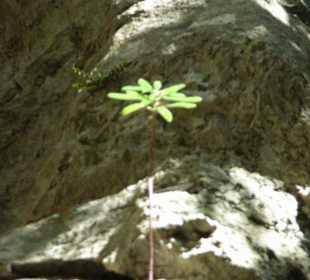 Klettergebiet Mazet-Plage