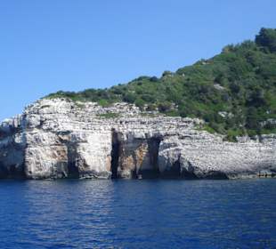 Paxos
