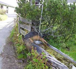 Liebevoll hergerichteter Brunnen