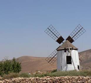 Weibliche Windmühle