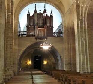 In der Kathedrale von Elne