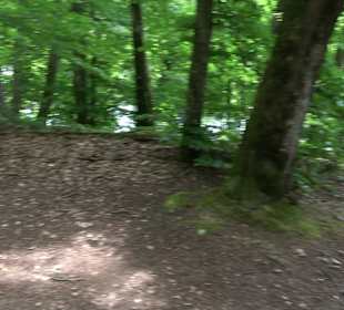 Wanderrunde Emeringen zum Rechtenstein