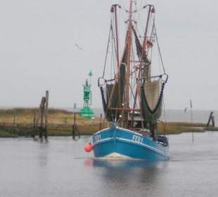 Der Hafen von Fedderwardersiel