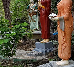 Wandern Balapitiya