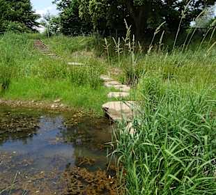 Donauzusammenfluss Donaueschingen