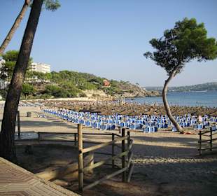 Der nächste Strand vom Hotel Morlans Garden