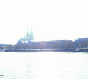 Rhein-Schifffahrt mit der Köln - Düsseldorfer