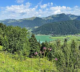 Wandern Walchsee