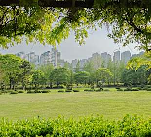 UN Memorial Cemetery