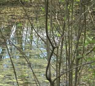 Naturerlebnisweg des NABU-Metzingen