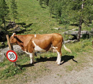 Sport & Freizeit