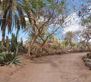 Botanischergarten Oasispark