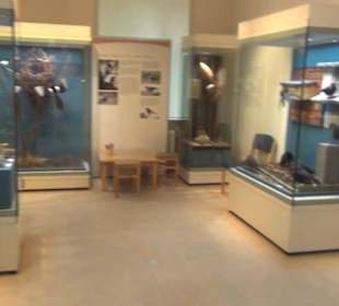 Naturkundemuseum