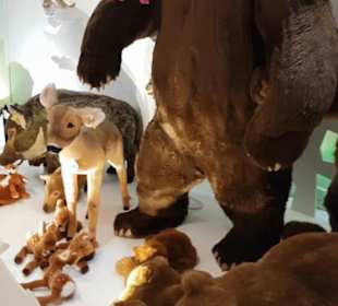 Steiff Museum