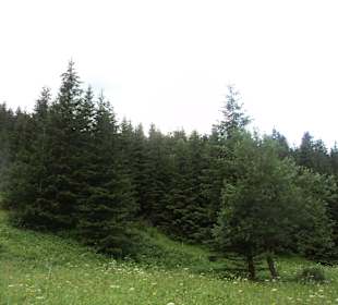 Tatrzański Park Narodowy