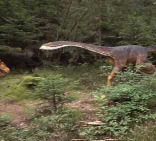 Dinosaurier Museum Altmühltal