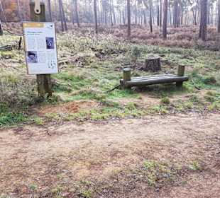 Ameisen Barfußpfad Hinweistafel