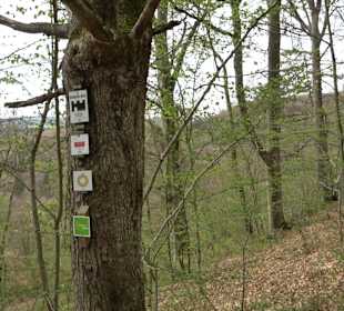 Eiszeitpfad - Burgfelsenpfad