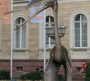Vor dem Naturkundemuseum am Friedrichsplatz